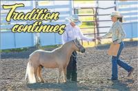 Lake County Fair underway with COVID-19 changes