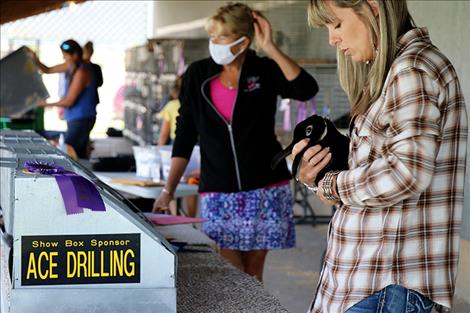 A Lake County Fair judge examines a bunny.