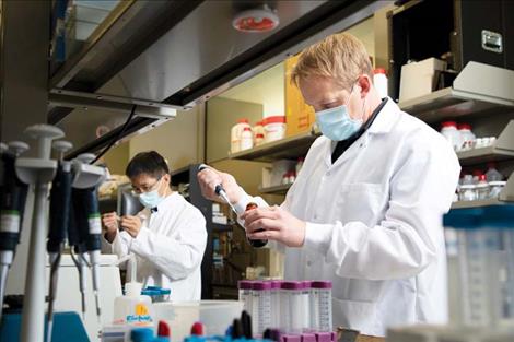 Professor Kasper Hansen (right) works with a student in a UM neuroscience lab.