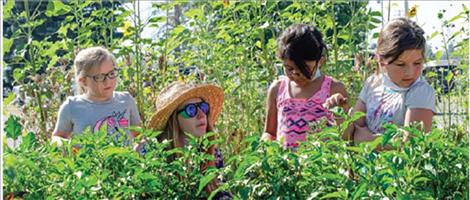 Sarah Klaus, wearing a hat, shows children the different vegetables in the garden.