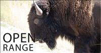 Bison Range gets steady stream of visitors after closure