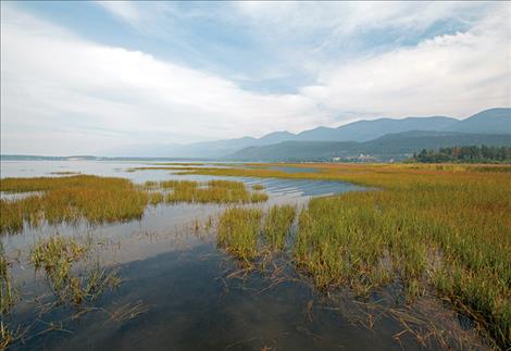Ducharme fishing access on Flathead Lake.