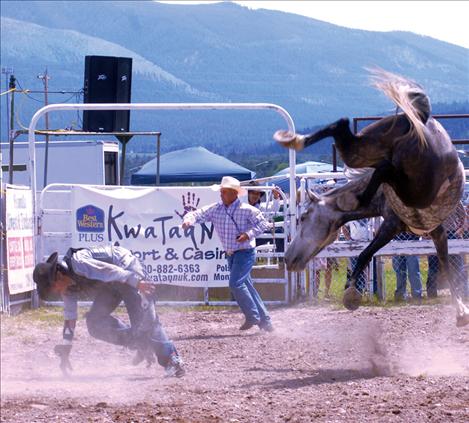 A gray bucking horse sunfishes after he bucks his rider off.