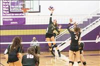 Mission Valley volleyballers capture postseason honors