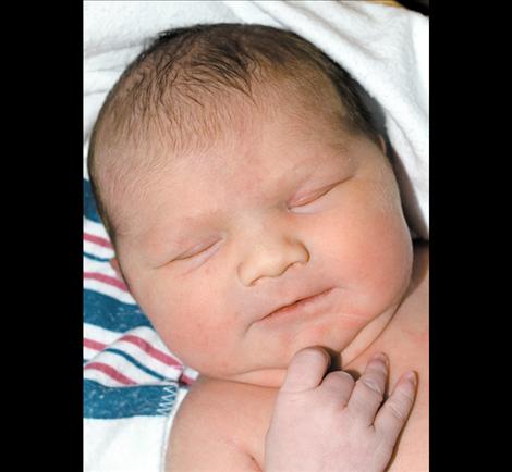Addison Rose Whealon