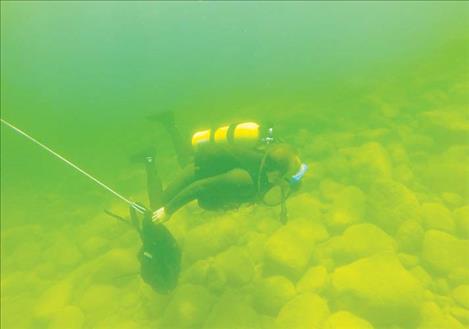 UM’s Flathead Lake Biological Station aquatic ecologist Shawn Devlin oversees the Flathead Monitoring Program, which maintains one of the strongest long-term ecological and water quality records in the world.