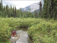 New program assists watershed groups in Montana