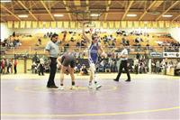 Mission Valley grapplers qualify for state tournament action