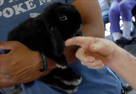 Louis McCloud lifts a finger to gently touch Spartan, the lop bunny. Spartan and his pal Prince came with their owner Megan Evelo.