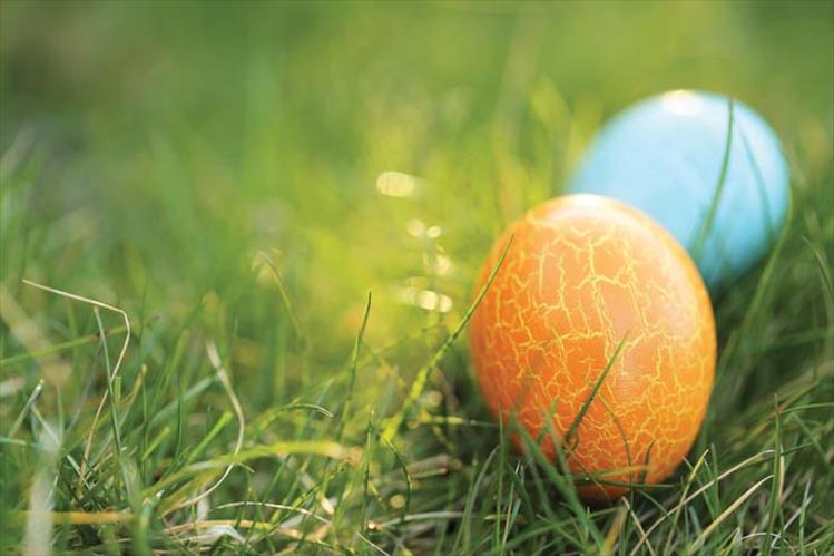 Ronan egg hunt scheduled 