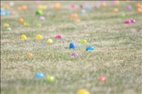 EGG-cellent EGG-stravaganzas