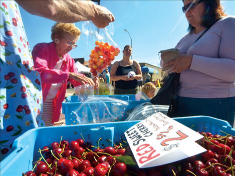 Local cherries ripened in time for the Polson Main Street Flathead Cherry Festival last weekend, where buyers scooped them up by the bagful from Bundy Orchards' stand.