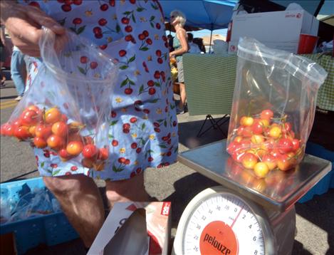 Packaged by the pound, the popular sweet cherries sold well at the festival.