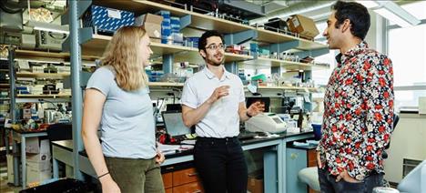 Researchers in the Blake Wiedenheft Lab, from left, Laina Hall, undergraduate research assistant, Andrew Santiago-Frangos, postdoctorate fellow, and Pushya Krishna, undergraduate research assistant, helped repurpose a CRISPR system to make a rapid, accurate COVID-19 test. 