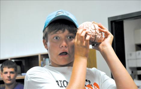 Riley Riffle plays with a brain model at GearUp Science camp. 