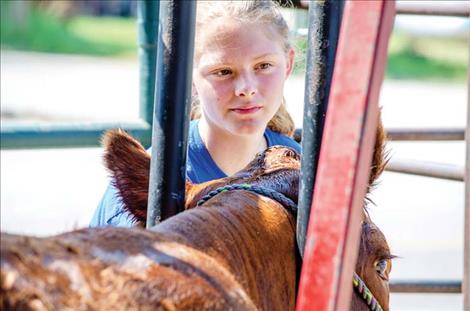 Lake County Fair exhibits valley talent
