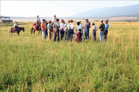Farmers gather in Vern Schlabach’s field on Ashley Lake Road to learn efficient ways use pastureland.