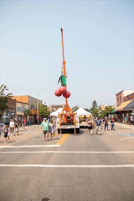 Some of the largest cherries in the world were on display at the festival.