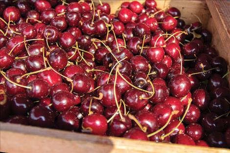 Flathead Cherries