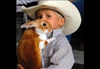 Valley View boys bring bunnies to fair