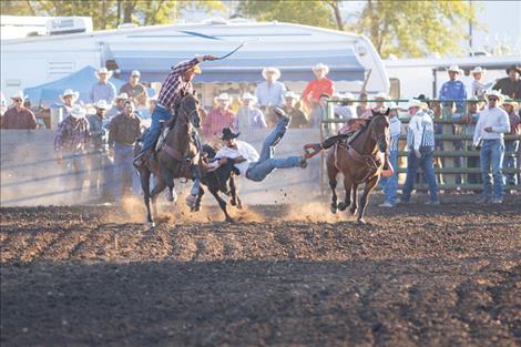 Local cowboy Tyler Houle brings down his steer on Saturday evening during the Flathead River Rodeo.