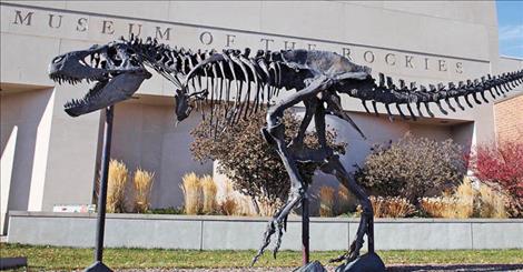Big Mike, a bronze replica of a Tyrannosaurus rex discovered in 1988, greets visitors as they arrive to the Museum of the Rockies.