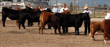 Lake County Fair