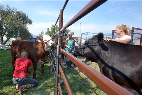 Lake County Fair