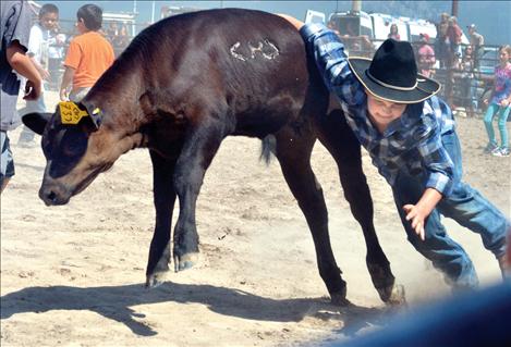 Pioneer Days Kiddie Slicker Rodeo, Cash Cows