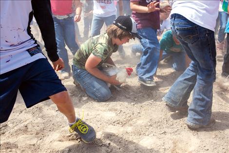 Pioneer Days Kiddie Slicker Rodeo, Chicken Scramble