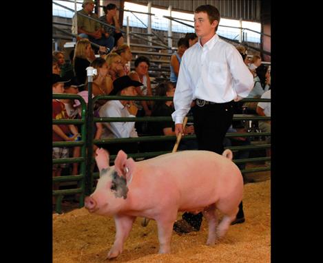 Lake County Fair, 4-H Swine