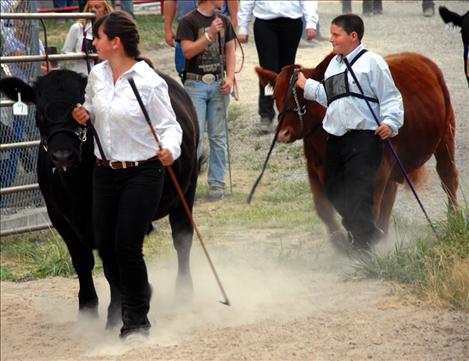 Lake County Fair