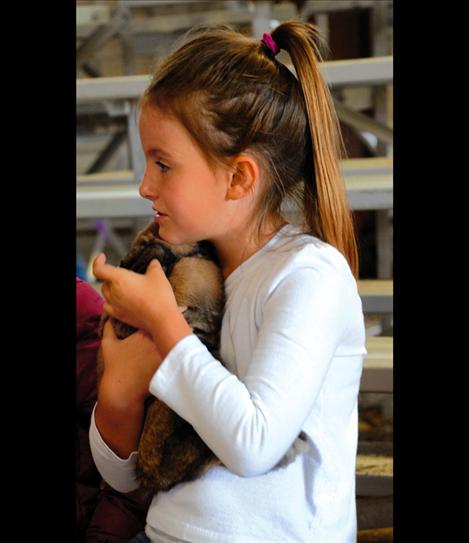 Lake County Fair, 4-H Rabbits