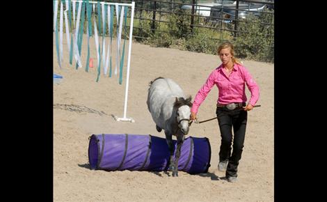 Lake County Fair, 4-H Miniature Horse Show