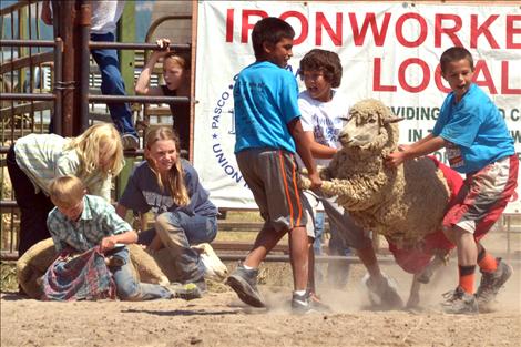 Pioneer Days Kiddie Slicker Rodeo, Sheep Dressing