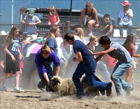 Pioneer Days Kiddie Slicker Rodeo, Sheep Dressing