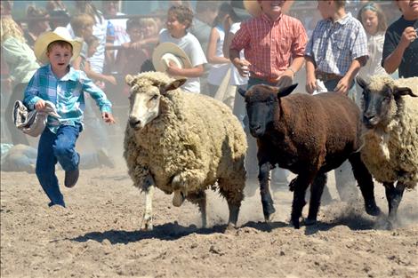 Pioneer Days Kiddie Slicker Rodeo, Sheep Dressing