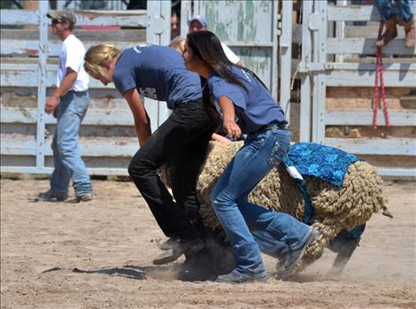 Pioneer Days Kiddie Slicker Rodeo, Sheep Dressing