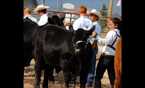 Lake County Fair