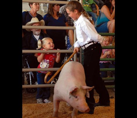 Lake County Fair, Swine Showmanship