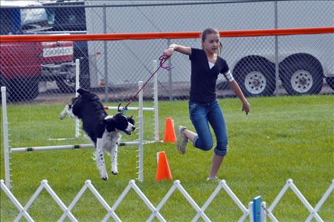 Lake County Fair, 4-H Dog Agility