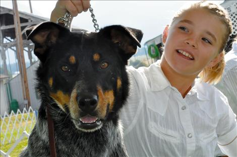 Lake County Fair, Dog Show