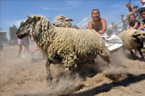 Pioneer Days Kiddie Slicker Rodeo, Sheep Dressing