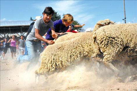 Pioneer Days Kiddie Slicker Rodeo, Sheep Dressing