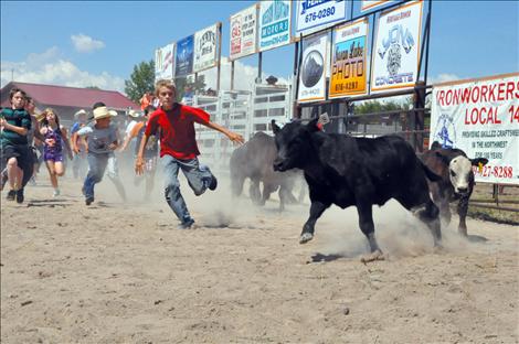 Pioneer Days Kiddie Slicker Rodeo, Cash Cows