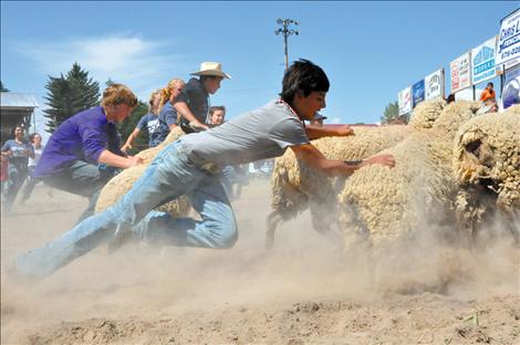 Pioneer Days Kiddie Slicker Rodeo, Sheep Dressing