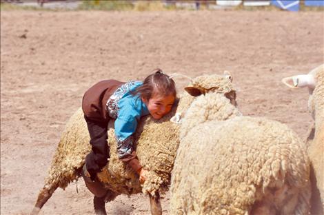 Pioneer Days Kiddie Slicker Rodeo, Mutton Bustin'