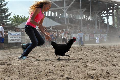 Pioneer Days Kiddie Slicker Rodeo, Chicken Scramble