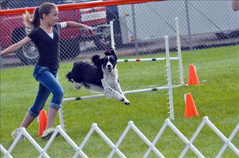 4-H dog agility