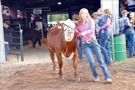 Lake County Fair